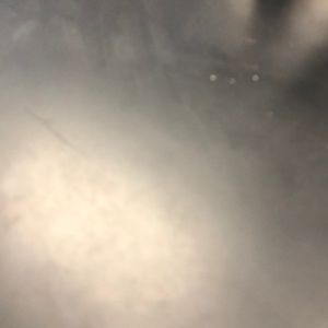 Meet your Posher, Bryce